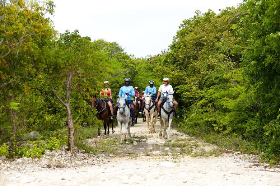 Swim Horse fom Punta Cana - Starting with hotel pickup in Punta Cana