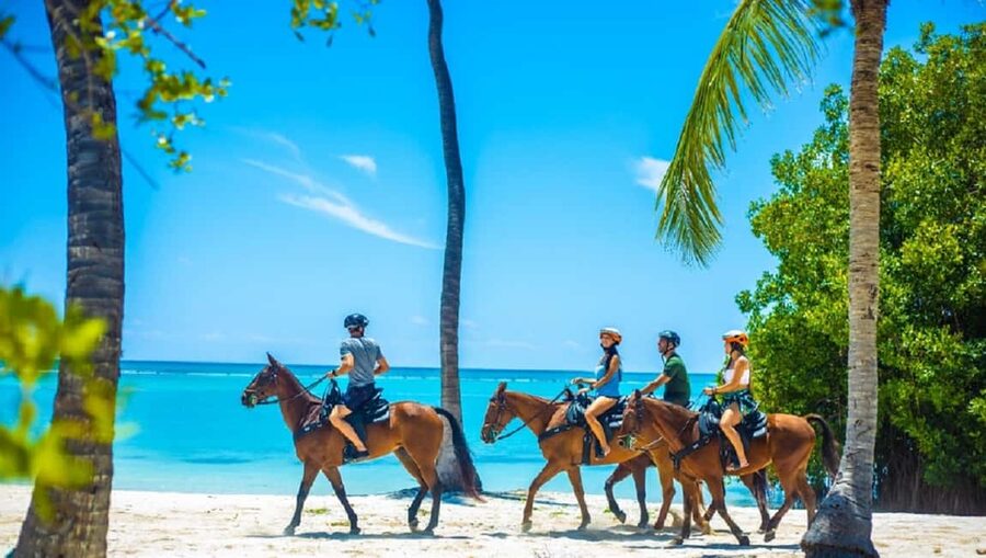 Swim Horse fom Punta Cana - Clear springs, mangroves, and the change of scenery