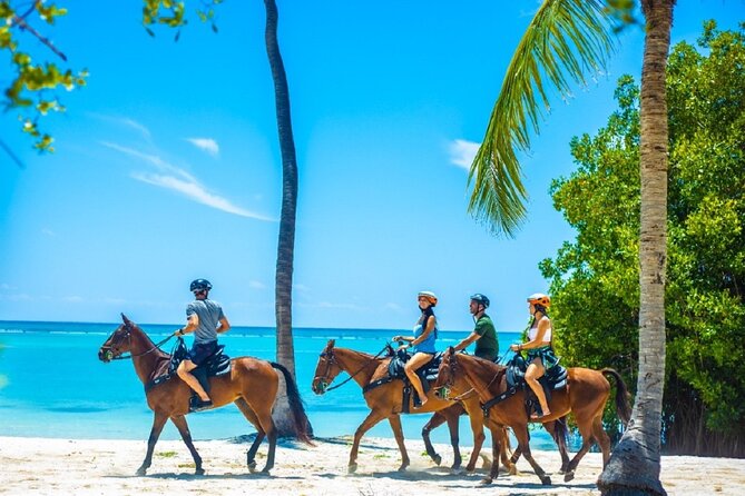 Swimming with Horses at the Beach from Punta Cana Free transportation - What swimming with the horses is really like