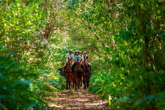 Swimming with Horses at the Beach from Punta Cana Free transportation - Snacks, transport, and the small-group advantage