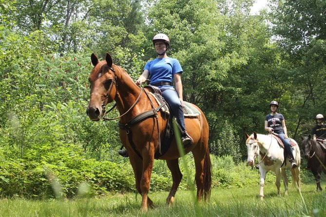 Swimming with Horses at the Beach from Punta Cana Free transportation - Reliability and cancellation details