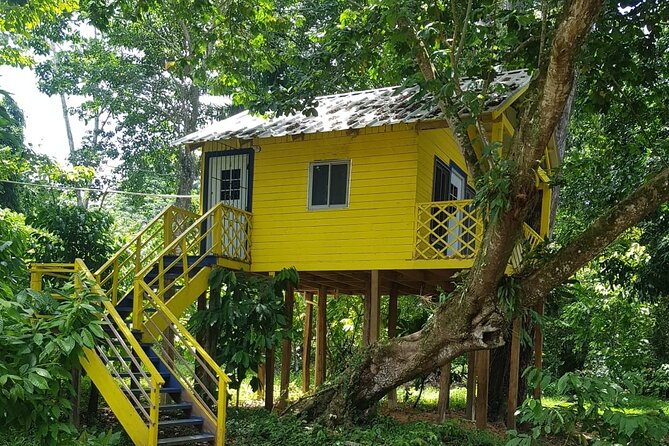 The Ultimate Dominican Horseback Riding Adventure - Two and a half hours through forest, cattle, and streams