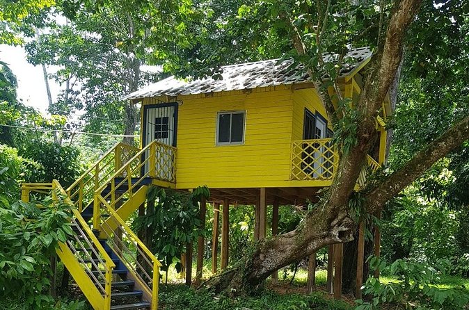 The Ultimate Dominican Horseback Riding Adventure - Cacao, tropical fruit, and a taste of ranch life