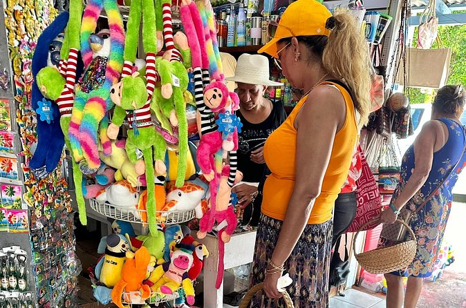 Tour of Souvenirs, Shopping in Punta Cana with Transportation Included - Private transportation is the main value