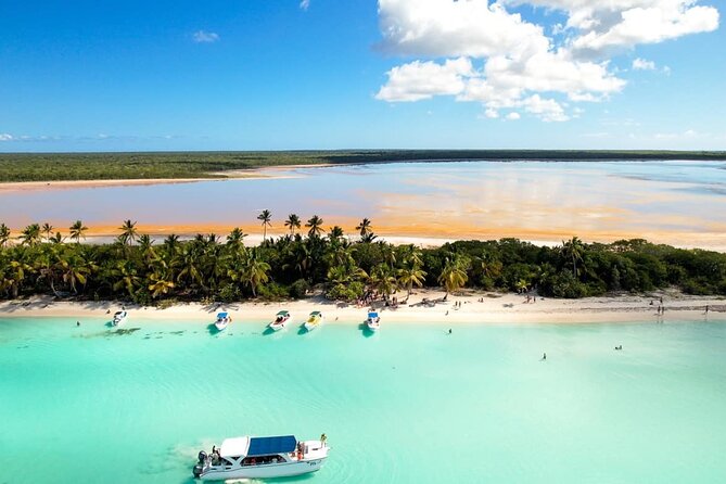 Tour to Isla Saona From Punta Cana with Transportation and Lunch - Why this Saona Island trip is worth considering