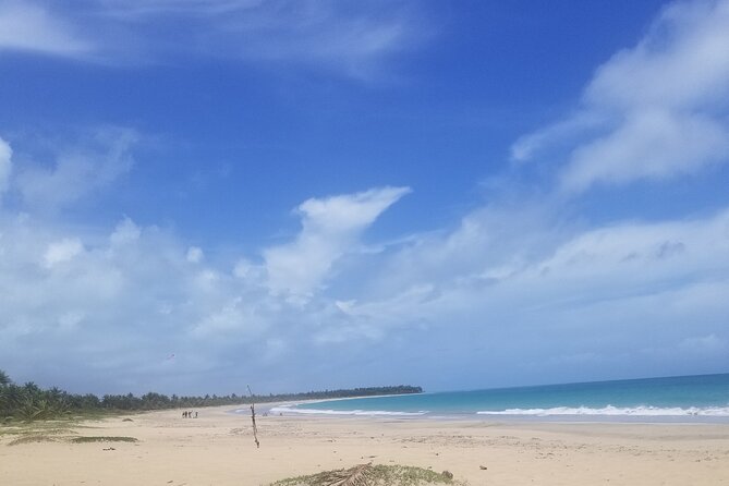 Tour to Montana Redonda and Emerald Coast Beach - Lunch between the mountain and the sea