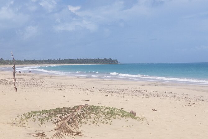 Tour to Montana Redonda and Emerald Coast Beach - Who will enjoy this most