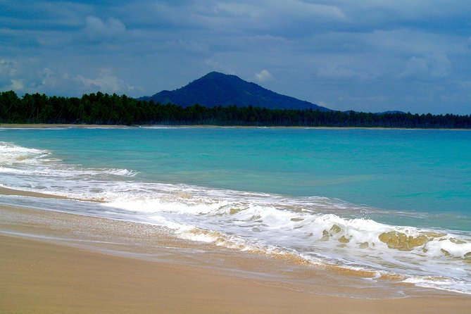 Tour to Montana Redonda (Round Montain) & Costa Esmeralda Beach - Through the forest to Playa Esmeralda