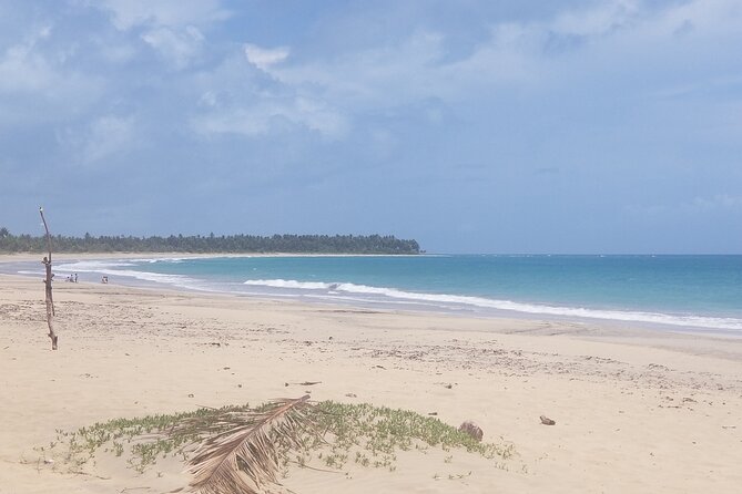 Tour to Montana Redonda (Round Montain) & Costa Esmeralda Beach - Practical tips for a smoother morning