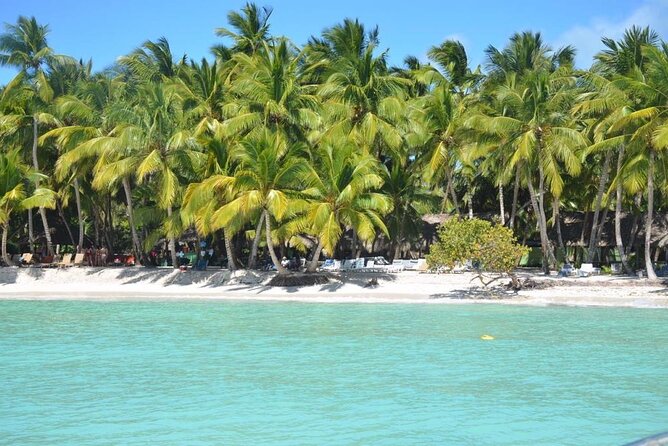 Tour to Saona Island with Lunch and Transportation - A typical Dominican lunch is part of the value