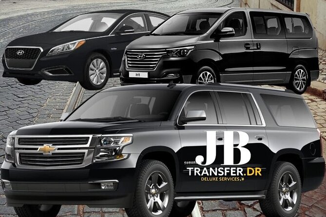 Transportation Private Punta Cana Airport And Hotels - A straightforward arrival at Punta Cana Airport