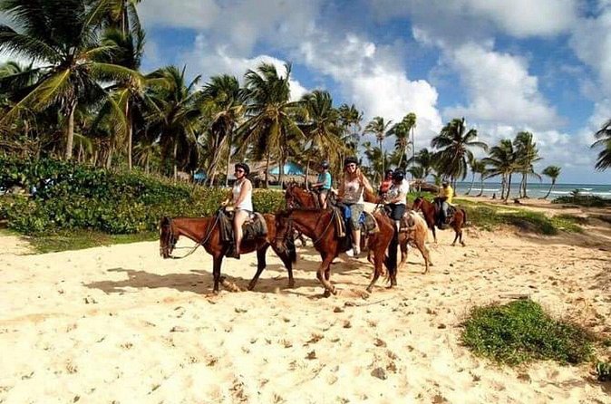 Trial Pack Punta Cana - The biggest strengths are convenience and variety
