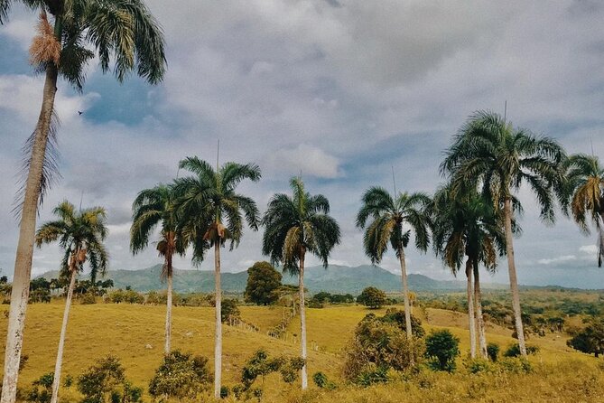 Tropical Escape Tour - The guides make the difference