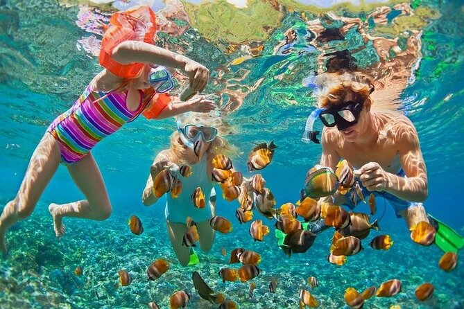 Tropical Punta Cana Booze Cruise – Snorkel, Sandbar & Party Vibes - The Natural Pool and Its Sandbar
