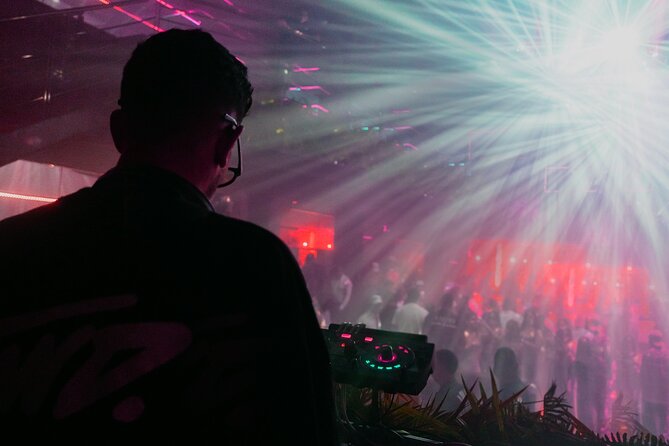 Tropicalia Disco – Party Night – Nightclub - Staff, languages, and the social feel