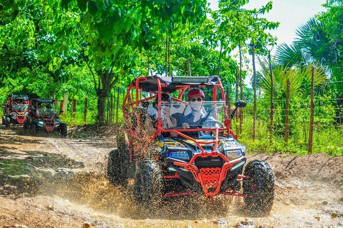 Ultimate Dune Buggy and ATV Adventure with Cenote, Beach & Ranch - Key points to know before you book