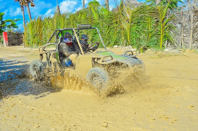 Unlimited Fun in Buggy and ATV and Horses in Punta Cana - Key points to know before booking