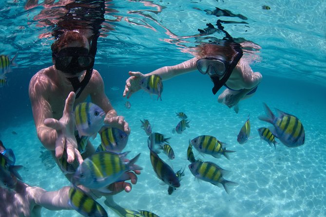 Up to 15 passengers Private Catamaran Sailing from Punta Cana - First stop: guided snorkeling among marine life and coral