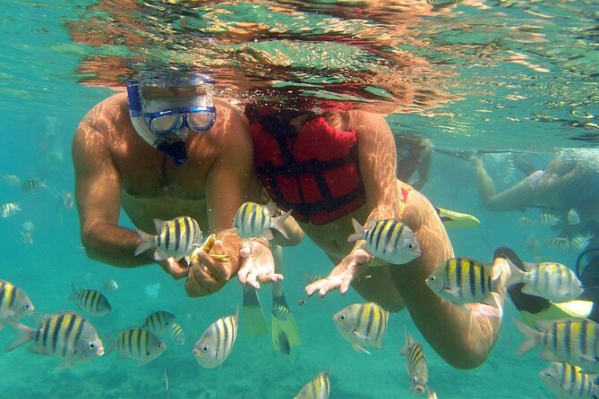 VIP Catamaran with Snorkeling - Snorkeling with included equipment