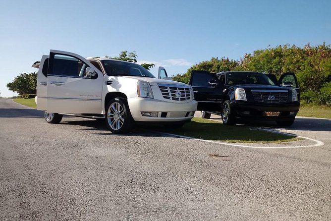 VIP Luxury Service Airport PUJ to Hotels in Dominican Republic. - Who should book this transfer