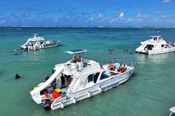 VIP Private Booze Cruise with Live Dj and BBQ in Punta Cana - Key details before you book