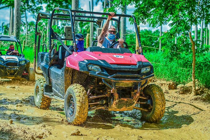 Vip Punta cana Buggies - Tours Point Ranch and Dominican farm products