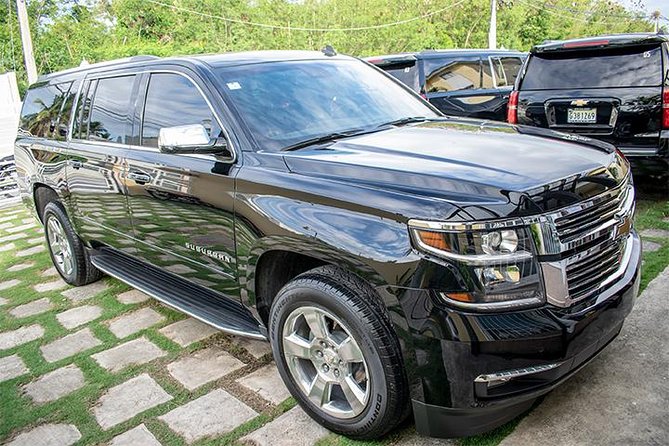 VIP Transfer Punta Cana Airport to Punta Cana & Bavaro Hotels (Not Uvero Alto) - Flight monitoring is the service’s best practical feature