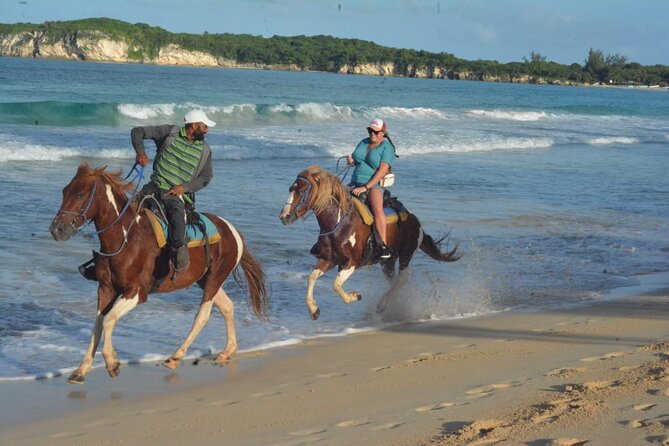 Want to Learn to Gallop at Bavaro Punta Cana Beach! - Key points to know before you book