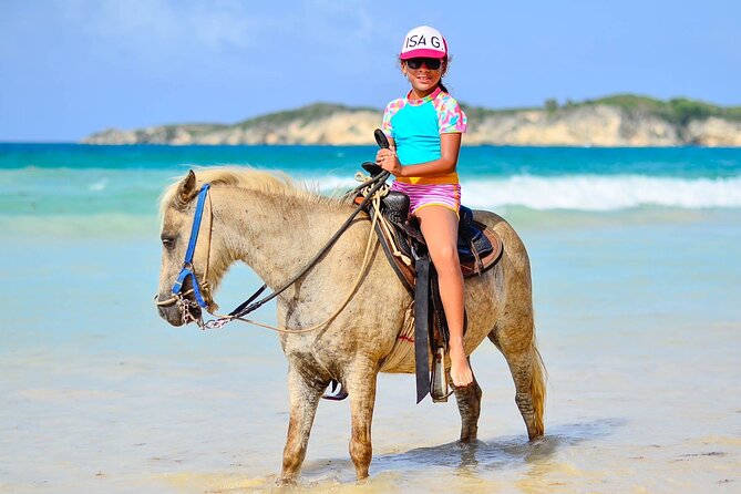 Want to Learn to Gallop at Bavaro Punta Cana Beach! - How the $65.95 price measures up