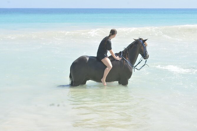 Want to Learn to Gallop at Bavaro Punta Cana Beach! - Heat, clothing, and what to carry