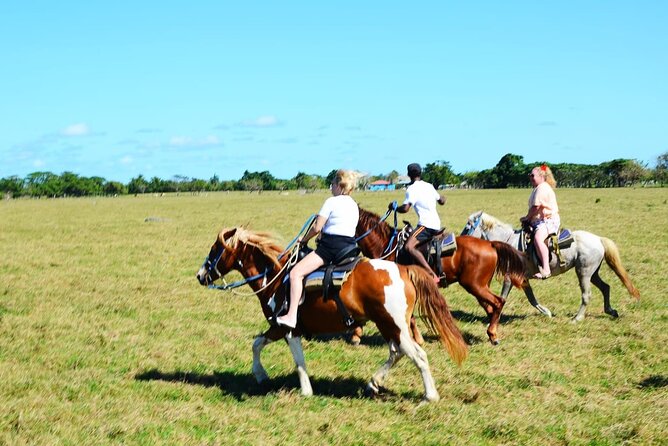 Want to Learn to Gallop at Bavaro Punta Cana Beach! - Who will enjoy this horseback ride most