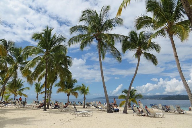 Whale Watching and Bacardi Island day trip from Punta Cana - What the schedule means for you