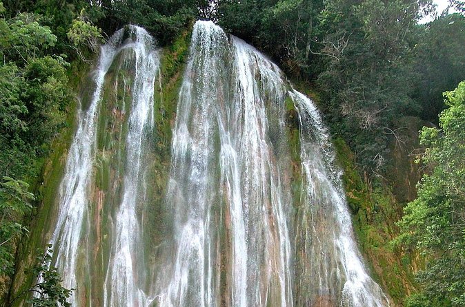 Whale Watching & Limón Waterfall Day Trip - Riding through the rainforest to El Limón