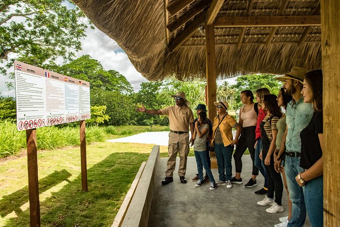 Xploration Animal Encounters Half Day Tour from Punta Cana - Lookout points, plants, and countryside views