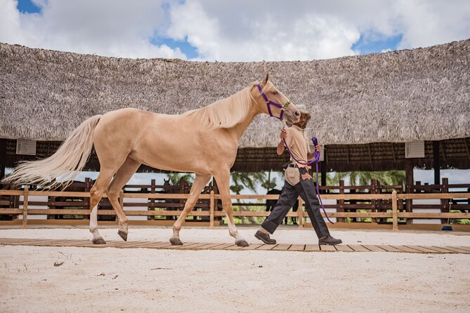 Xploration Animal Encounters Half Day Tour from Punta Cana - Who will enjoy this outing most