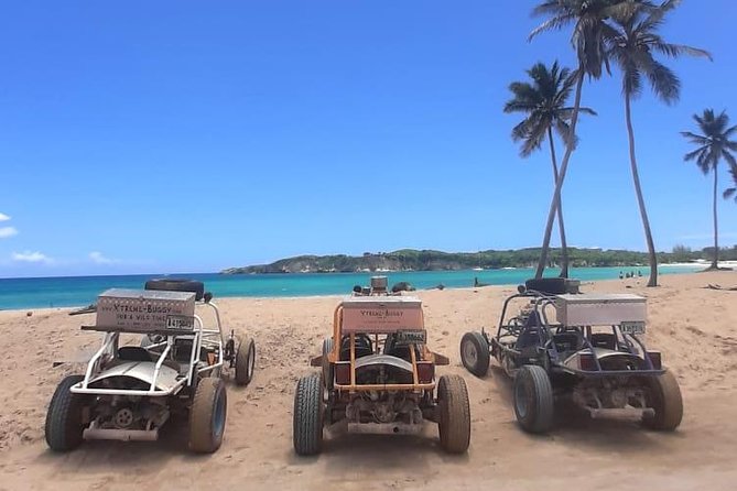 Xtreme Buggy 4 hours Dune Buggy & Country side experience - Key points before you book
