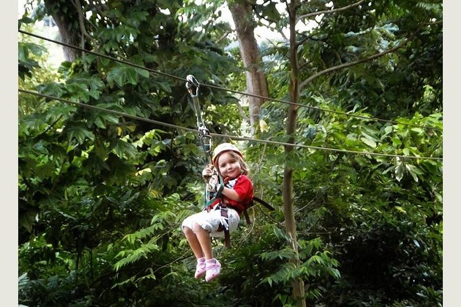 Zip Line - Half Day Adventure - Hotel pickup saves time, with one caution