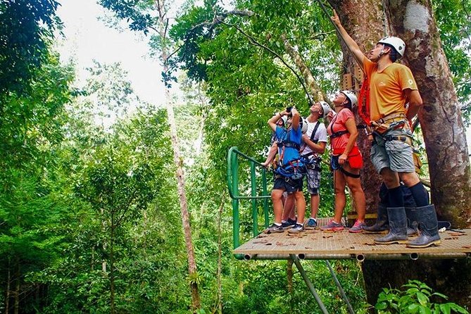Zip Line - Half Day Adventure - How the $80 price measures up
