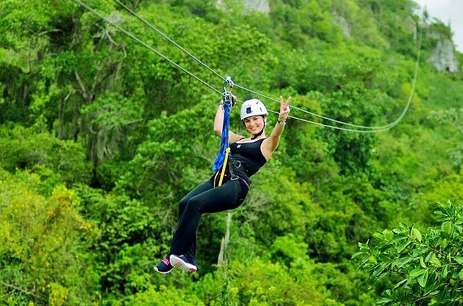 Zip Line or Canopy Zip Line Tours from Punta Cana - Why the forest views matter