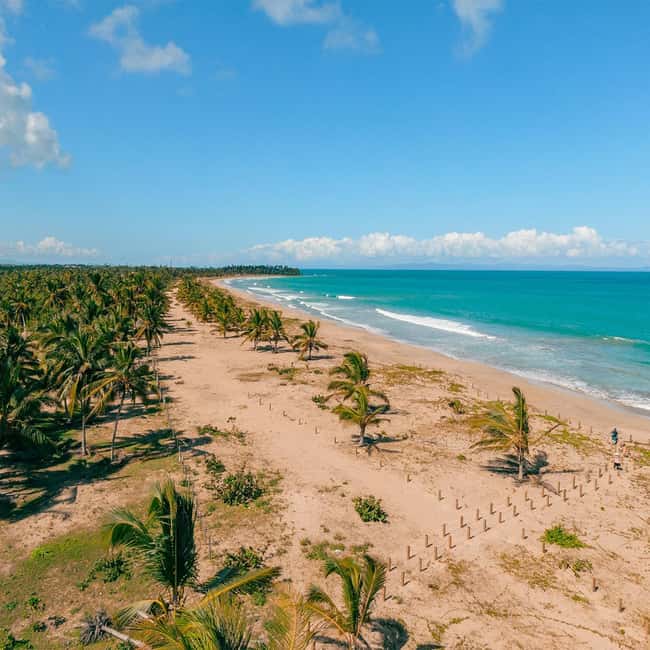 Zip Line Playa Esmeralda With Redonda Mountain - Service, communication, and the role of the guide