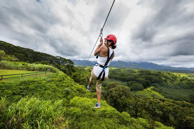 Zipline Adventure in Punta Cana – Thrilling Canopy Experience - Eight lines, sixteen towers, and a suspension bridge