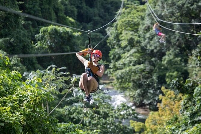 Zipline Adventure in Punta Cana – Thrilling Canopy Experience - Why the $69.99 price can be good value