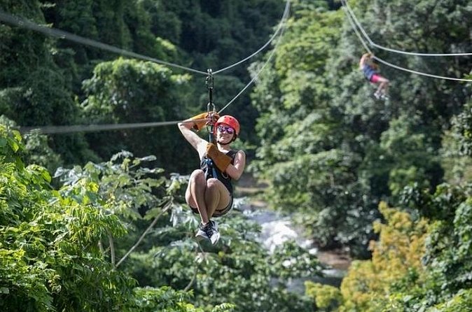 Zipline Adventure in Punta Cana – Thrilling Canopy Experience - Who will enjoy this course most