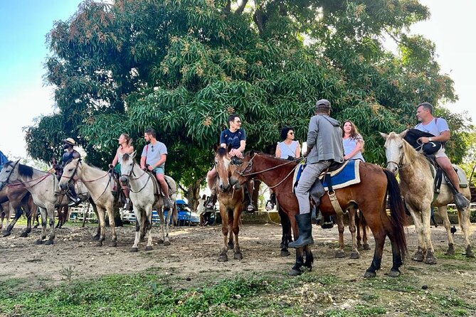 Zipline,Dune Buggy,Horse Riding - Cocoa, country life, and a Dominican home
